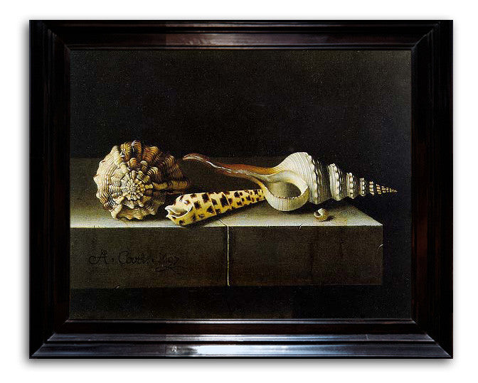 Adriaen Coorte, "Still Life with Seashells"