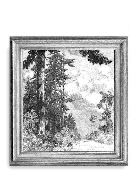 Franklin Booth, "The Pines"