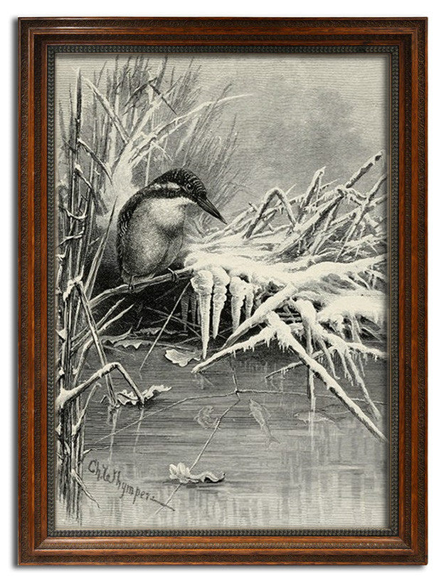 Charles Whymper, "Black Bird on Ice"