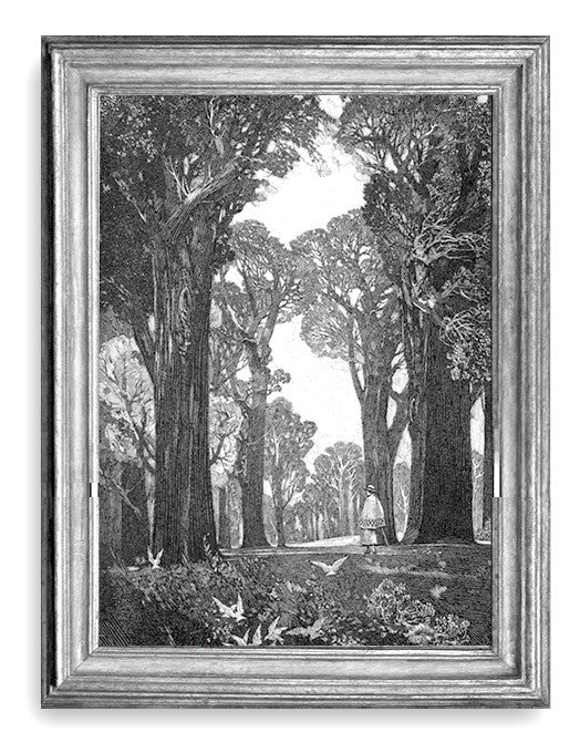 Franklin Booth, "The Woodland"