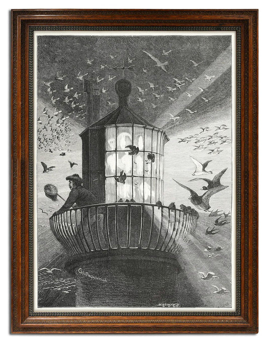 Charles Whymper, "Mobbing the Great Sea Lantern"