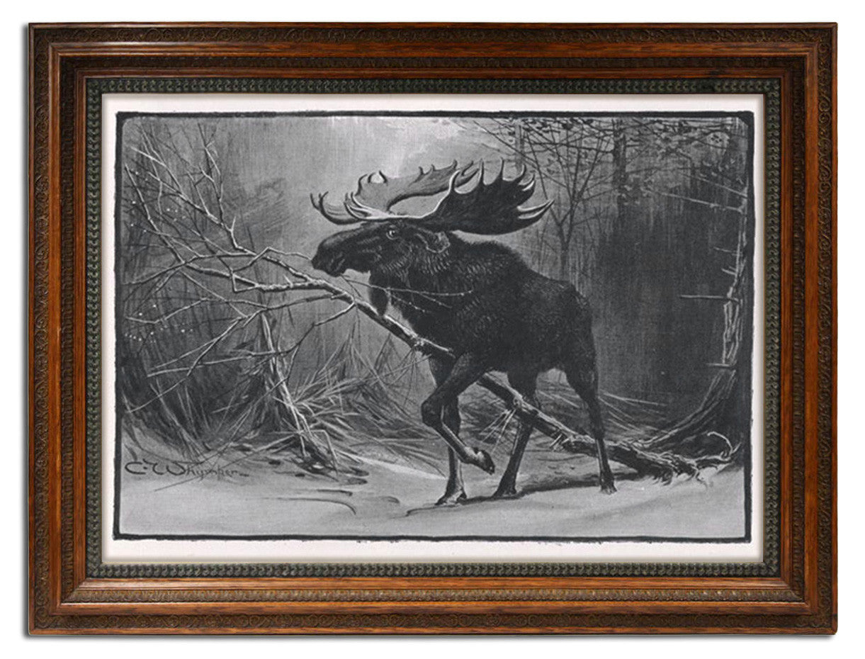 Charles Whymper, "The Moose"