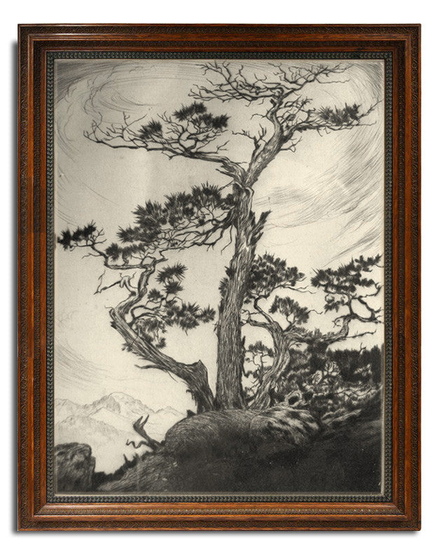 Lyman Byxbe, "Junipers"